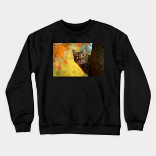 Fall Cat Crewneck Sweatshirt